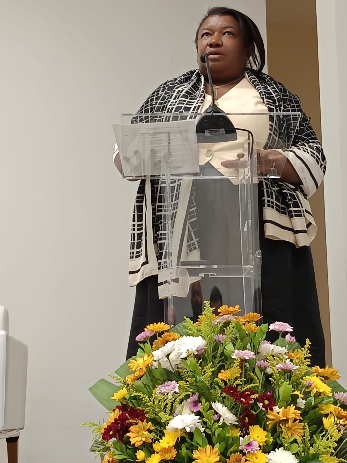 Palestra na ANEEL, dezembro de 2024